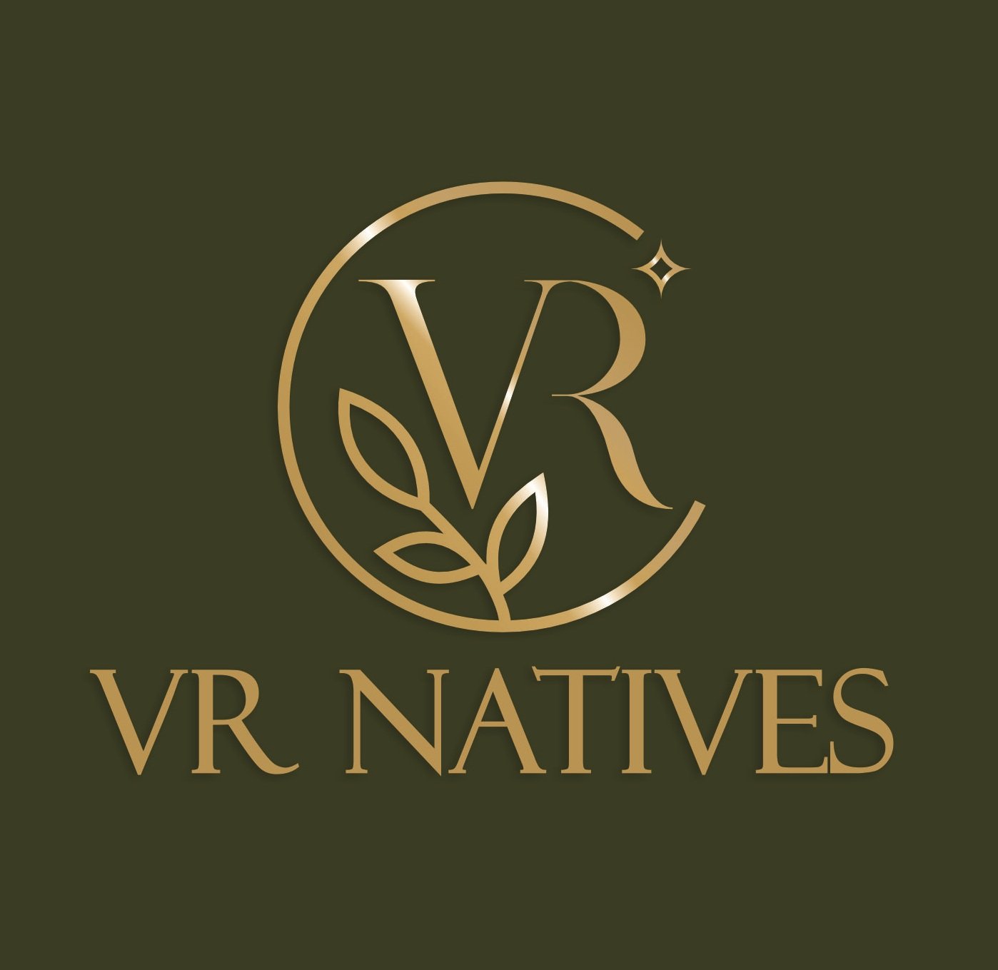 VR Natives Logo